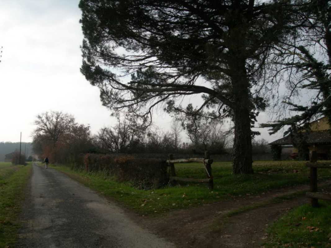 4 Vers Roquésérière à Coupiac